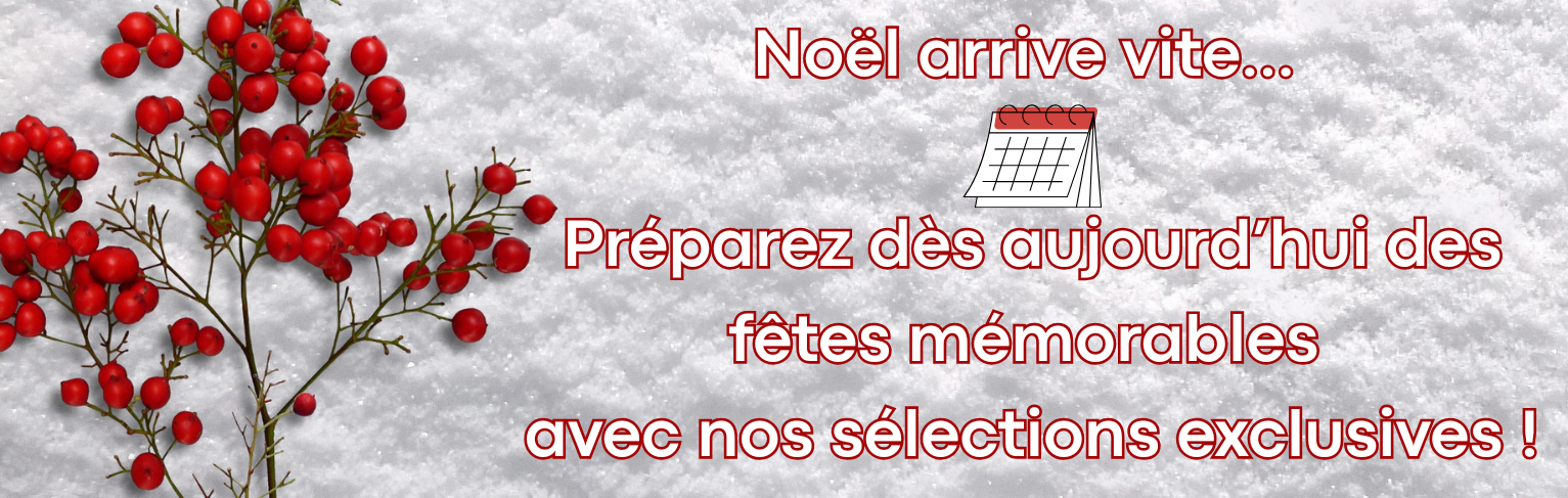 fêtes de fin d'année